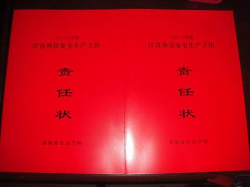 综治维稳工作责任状