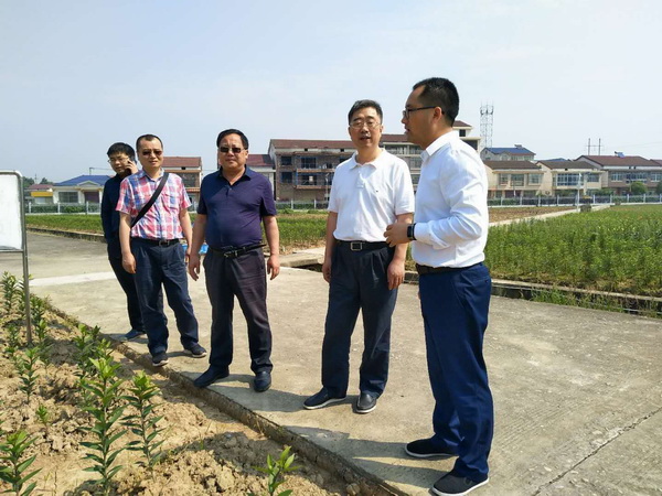 湖南省云溪区多少人口_湖南省地图(3)