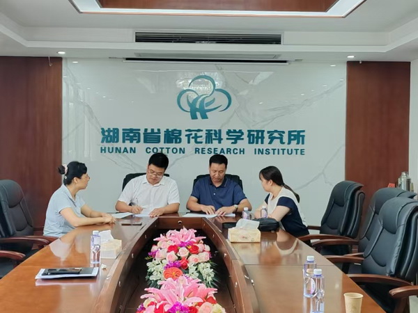 “晟湘油”油菜品种倍受青睐